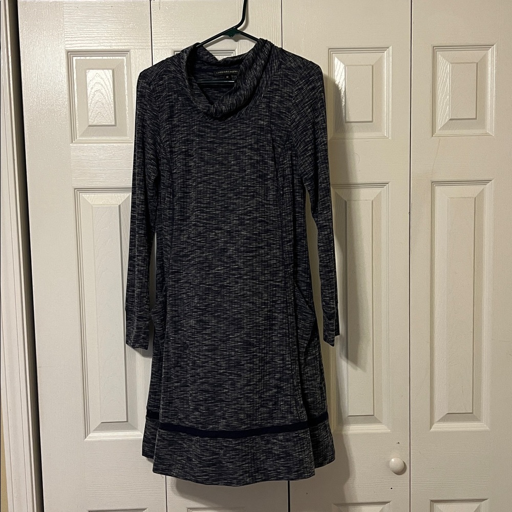Gray Long Sleeve Cowl Neck Dress